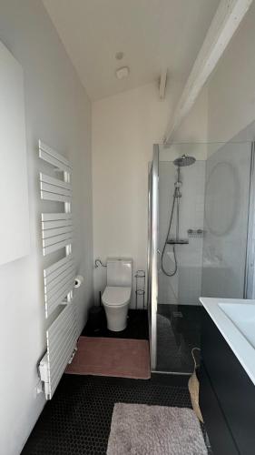 a white bathroom with a toilet and a shower at Maison Cosy - Maison de Maitre in Saint-André