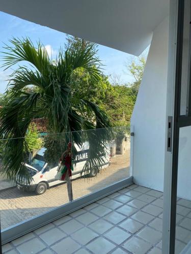 a palm tree is seen through the window of a building at Depa BN 03 in Barra de Navidad