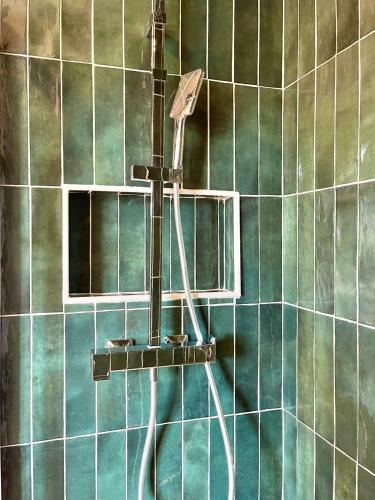 La salle de bains est pourvue d'une douche et de carrelage vert. dans l'établissement Appartement Tropical, à Château-Renault