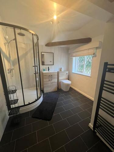 a bathroom with a shower and a toilet at Wish End Cottage in Ratton Village