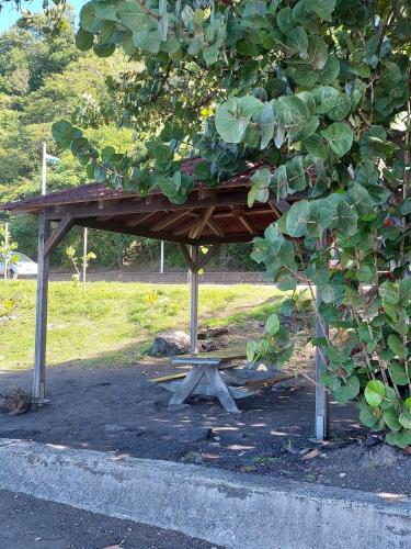 a picnic table in a park under a tree at Tropical Golden, vue mer et plage à 5 min à pied in Gourbeyre