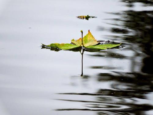 Příroda nedaleko penzionu – hostince