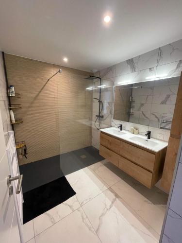 une salle de bain avec un lavabo et une douche dans l'établissement Grand appt rdc Saint-Cyprien plage, à Saint-Cyprien
