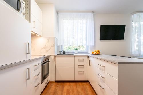 Kuchyň nebo kuchyňský kout v ubytování Apartment Komin