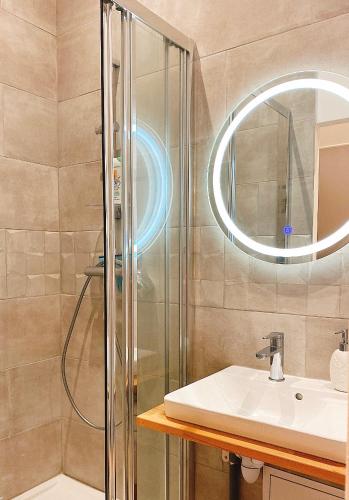 une salle de bain avec un lavabo et une douche dans l'établissement Louis Pacello Appartement, à Amboise