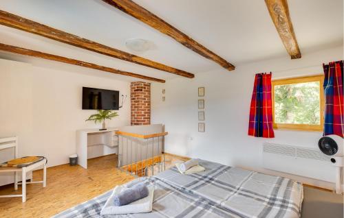a bedroom with white walls and a bed and a tv at Amazing Home In Netretic in Netretić