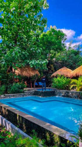 a swimming pool in front of a resort at Habarana Tree House Ambasewana Resort in Habarana