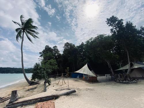 una spiaggia con tende, una palma e l'oceano di Juita Glamping Perhentian island a Isole Perhentian