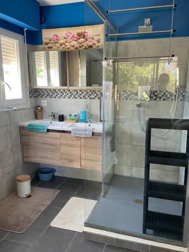 une salle de bain avec une douche, un lavabo et un miroir dans l'établissement Agréable T2 traversant RDC avec terrasse - balcon - Parking 2 places - Clim portative, à Montpellier