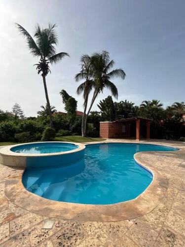 a swimming pool in a yard with palm trees at Villa Metro country Club in Juan Dolio