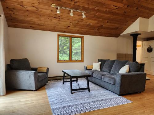 a living room with two couches and a table at Rustic Catskills Cabin with Hot Tub and Mountain Views in Prattsville