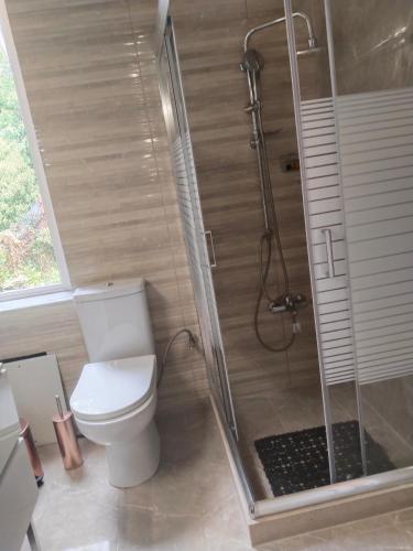 a bathroom with a toilet and a shower at 1920 Classic in Kalamata
