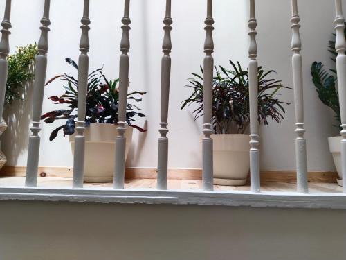two potted plants sitting on a stair railing at 1920 Classic in Kalamata