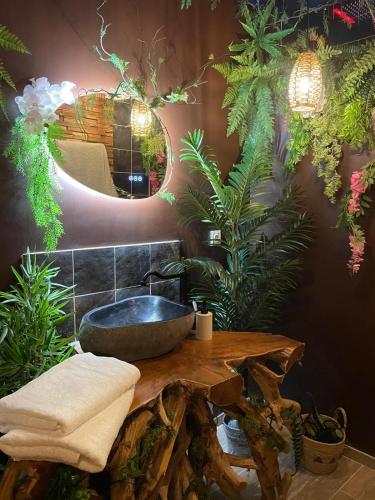 une salle de bain avec un lavabo en pierre et un miroir dans l'établissement Serengeti Safari Room, à Sigean