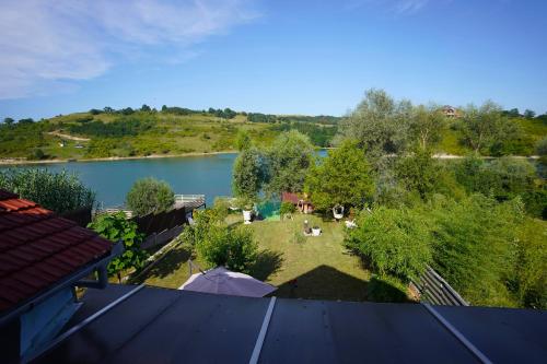an aerial view of a park with a lake at Pensiunea La Rose-lângă lac cu ponton in Cinciş
