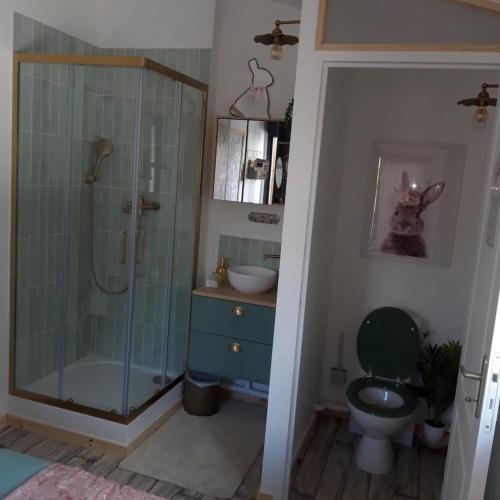 une salle de bain avec une douche, des toilettes et un lavabo dans l'établissement Chambre Parenthèse Cosy et institut, à Neufmarché