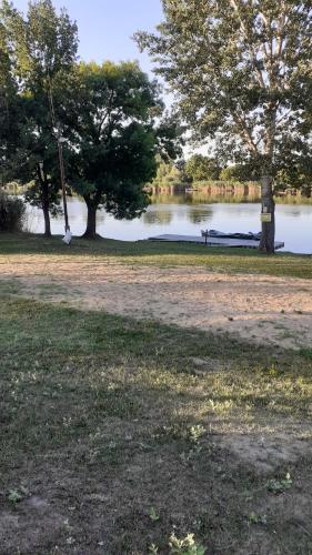 a park with a bench next to a lake at Borostyán Vendégház in Tiszaug
