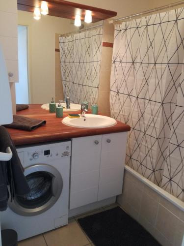 une salle de bain avec un lavabo et une machine à laver dans l'établissement Le Grenadin, à Grenade