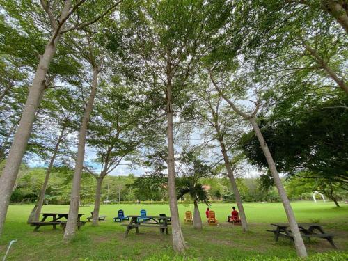 a group of picnic tables in a park with trees at My Chateau Resort in Kenting