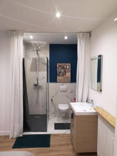 une salle de bain avec une douche, des toilettes et un lavabo dans l'établissement Superbe Loft d'artiste, à Romainville