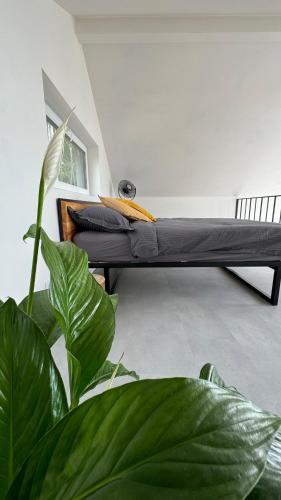 a bed in a room with a plant at GET WILD brīvdienu māja in Dzelmes