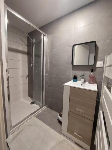 une salle de bain avec une douche, un lavabo et un miroir dans l'établissement jolie maison dans un quartier calme, à Saint-Vallier