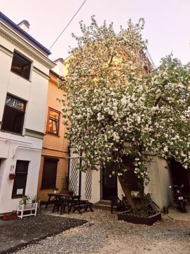 a magnolia tree in front of a building at Central Hostel in Rīga