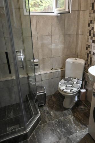 a bathroom with a toilet and a shower at Pool Garden-Oaza in Skopje