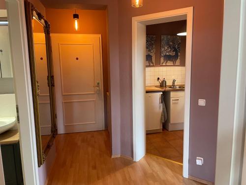 a kitchen with a sink and a white door at Apartment Weinblick Radebeul, Dresden in Radebeul