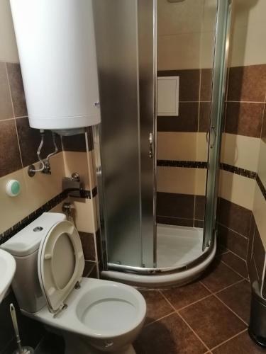 a bathroom with a toilet and a shower at MONASTERY Seafront Apartments in Sveti Vlas
