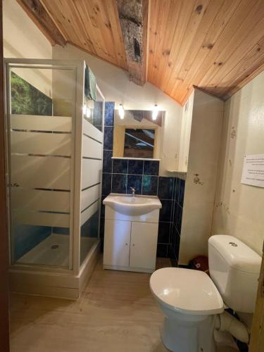 Mont-RocGite LA LICORNE的浴室里有马桶、淋浴和洗手池。