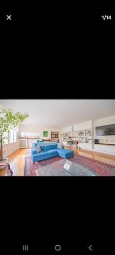 - un salon avec des canapés bleus et un tapis dans l'établissement Paris chic Trocadero, à Paris