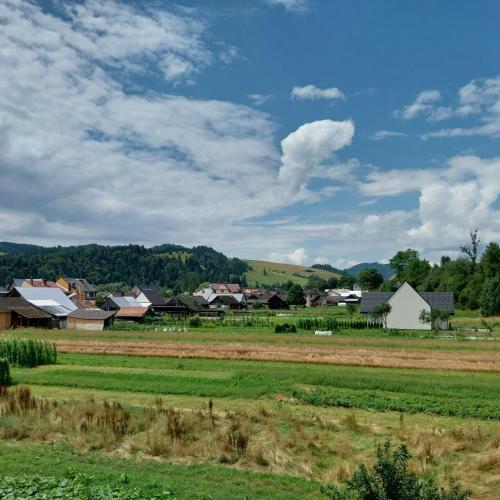 a village with a field and houses in the distance at Noclegi u Magdy in Sromowce Wyżne
