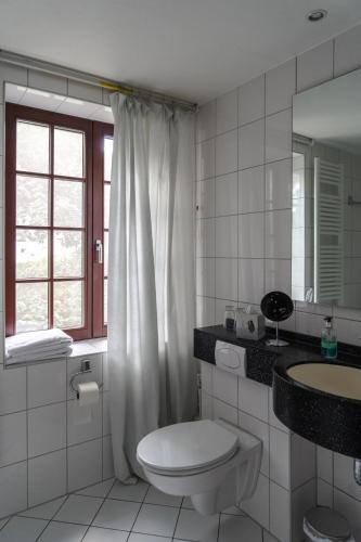 a white bathroom with a toilet and a sink at Landhaus Arnoth in Kleinich