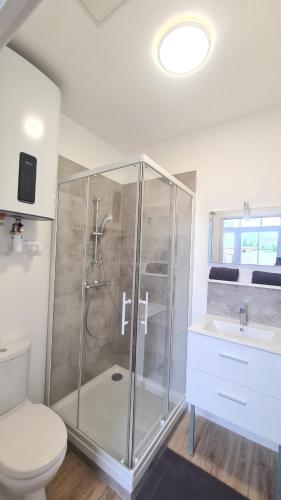 une salle de bain avec une douche, des toilettes et un lavabo dans l'établissement Studio Ludo 1, parking privé, wifi, climatisation, entrée autonome, à Poitiers