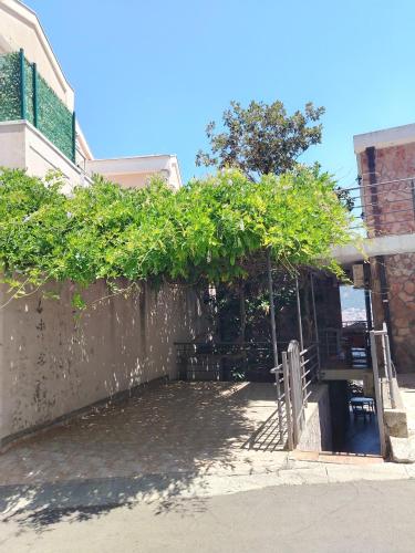 a building with a wall with plants on it at Contessa Apartments in Budva