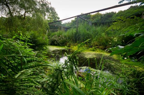 a garden with a stream of water and plants at Bird Nest - dine with the eagles Private Retreat in Carlisle