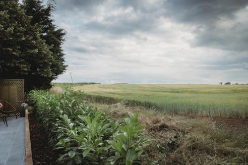a person sitting on a bench next to a field at The Retreat- amazing scenic views of the Essex countryside! in Salcott