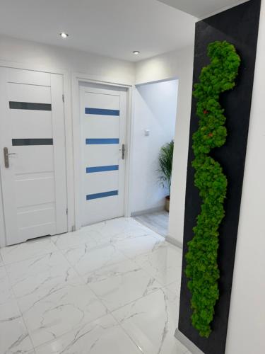 Apartament NOWE MIASTO