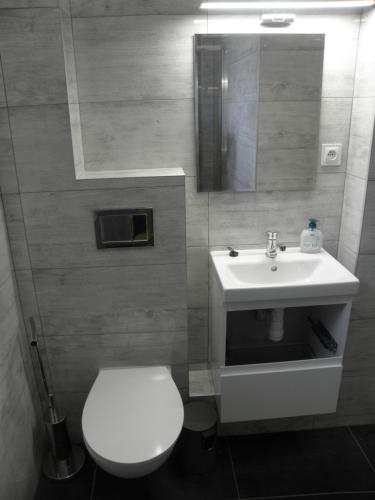 a bathroom with a white toilet and a sink at Anieli Krzywoń in Szczecin