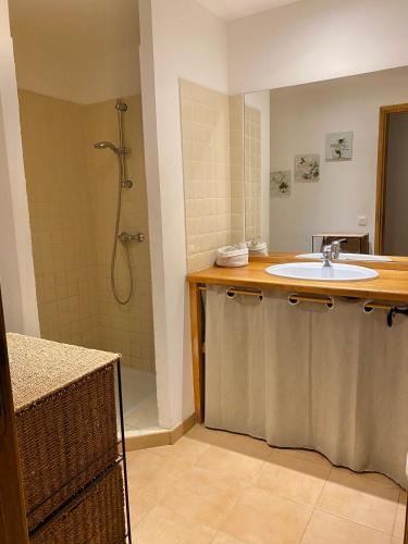 une salle de bain avec un lavabo et une douche dans l'établissement Maisonnette Antelissa à 3 minutes en voiture des plages et du centre ville, à Saint-Tropez