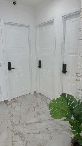 two white doors in a white room with a plant at Morgana Sea in Catania