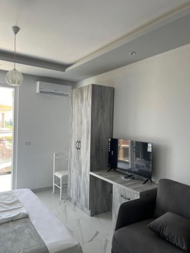 TaleにあるSuli Beach Apartmentsのソファと薄型テレビのあるリビングルーム