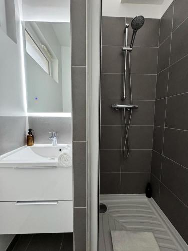 une salle de bain avec douche et lavabo dans l'établissement Centre-ville donnant sur cours végétalisée, à Bordeaux