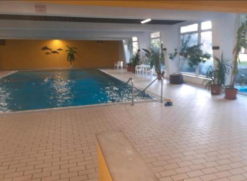 Bazén v ubytování Ferienwohnung Mecarda in Sankt Englmar nebo v jeho okolí