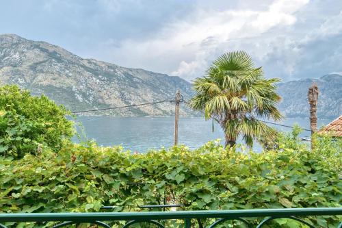 Gallery image of Waterfront house overlooking Kotor Bay by MN Property in Donji Stoliv