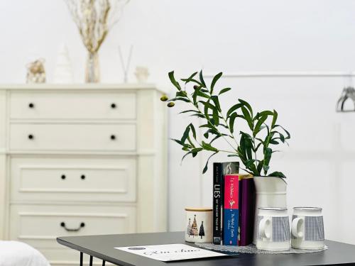 a table with a potted plant and books on it at Cloudy Homestay Hoi An in Hoi An