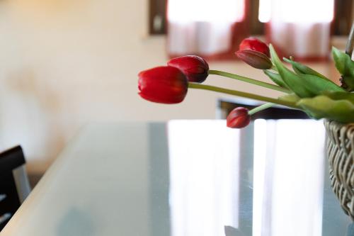 a vase with a bunch of red tulips in it at La Mansarda del Viandante in Castelbelforte