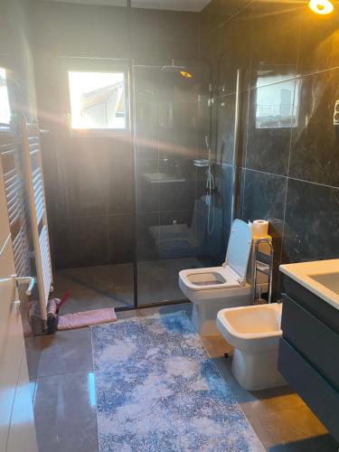 une salle de bain avec une douche, des toilettes et un lavabo dans l'établissement Apartment IN Jajce, à Jajce