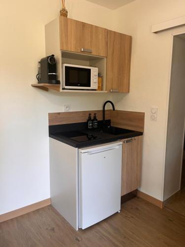 une petite cuisine avec un évier et un micro-ondes dans l'établissement Studio indépendant avec jardin, à Pertuis